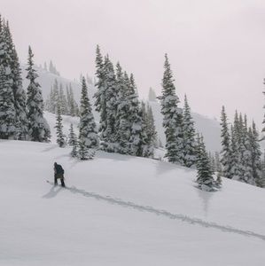 Meet your Posher, Everett